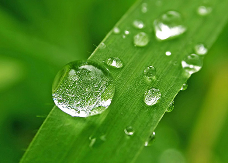 水中的重金屬，凈水器如何過濾